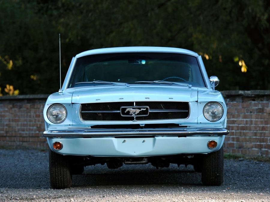  Ford Mustang Fastback 1965 года  (фото 25 из 52)